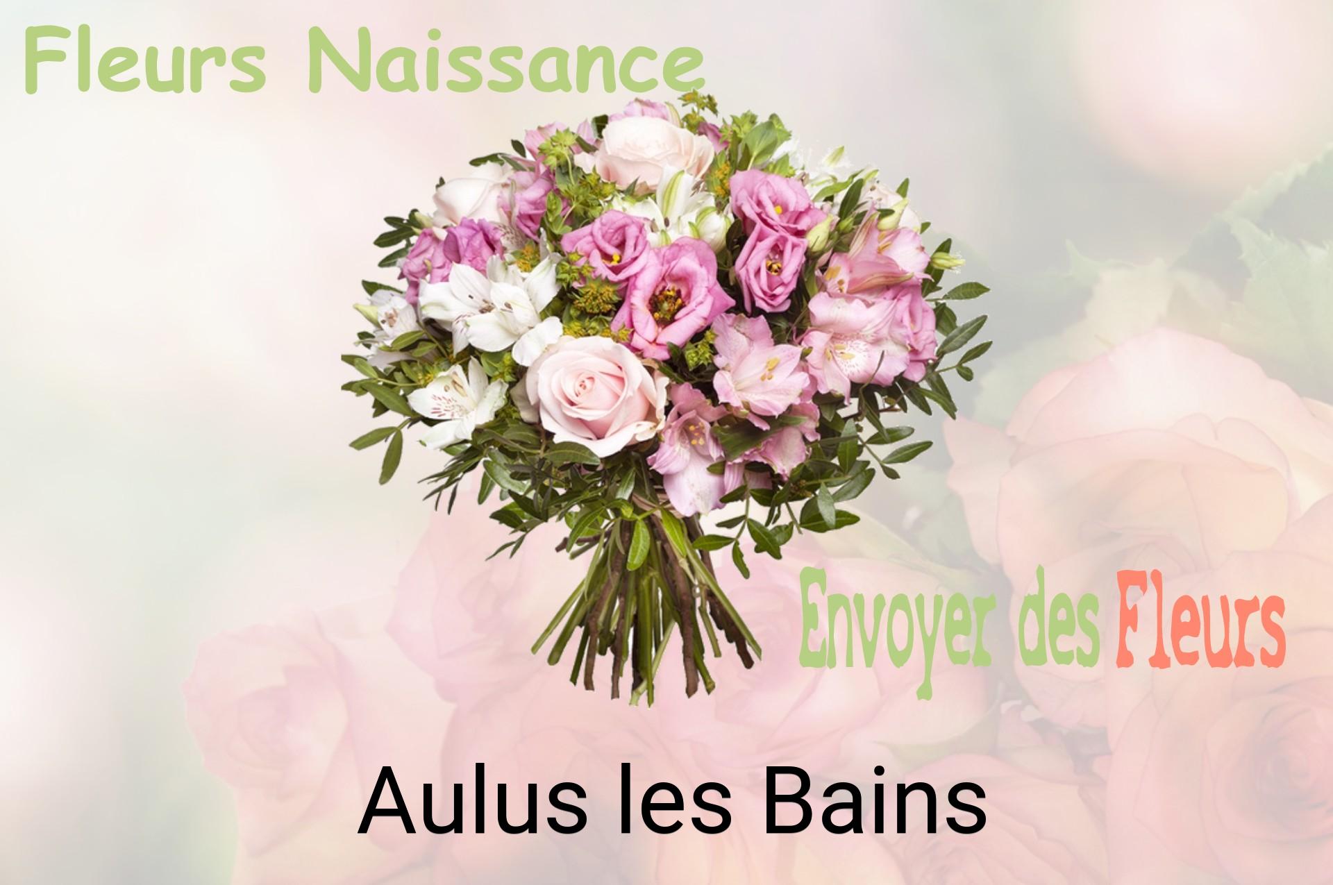 Bouquet de fleurs de naissance livré à Aulus-les-Bains