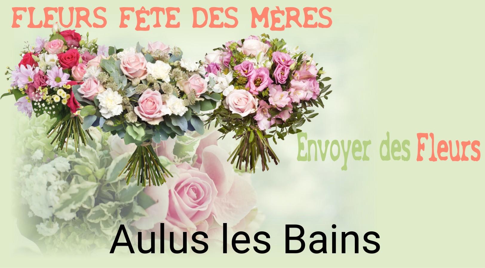 Bouquet de Fête des Mères livré à Aulus-les-Bains